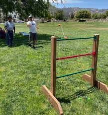 Ladder Toss Game